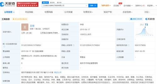 商品信息咨询服务 价值研判与精准营销的核心策略